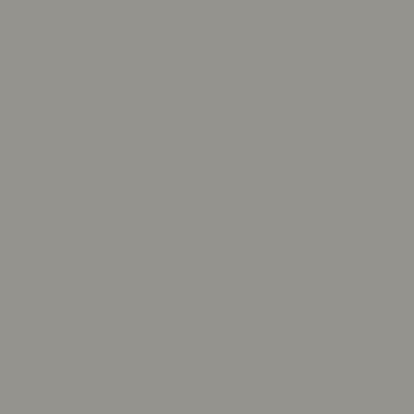 Srebrny | RAL9006
