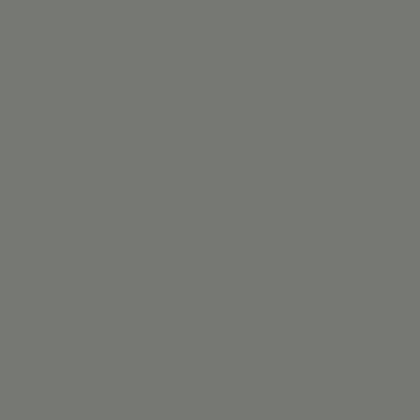 Srebrny Ciemny | RAL9007